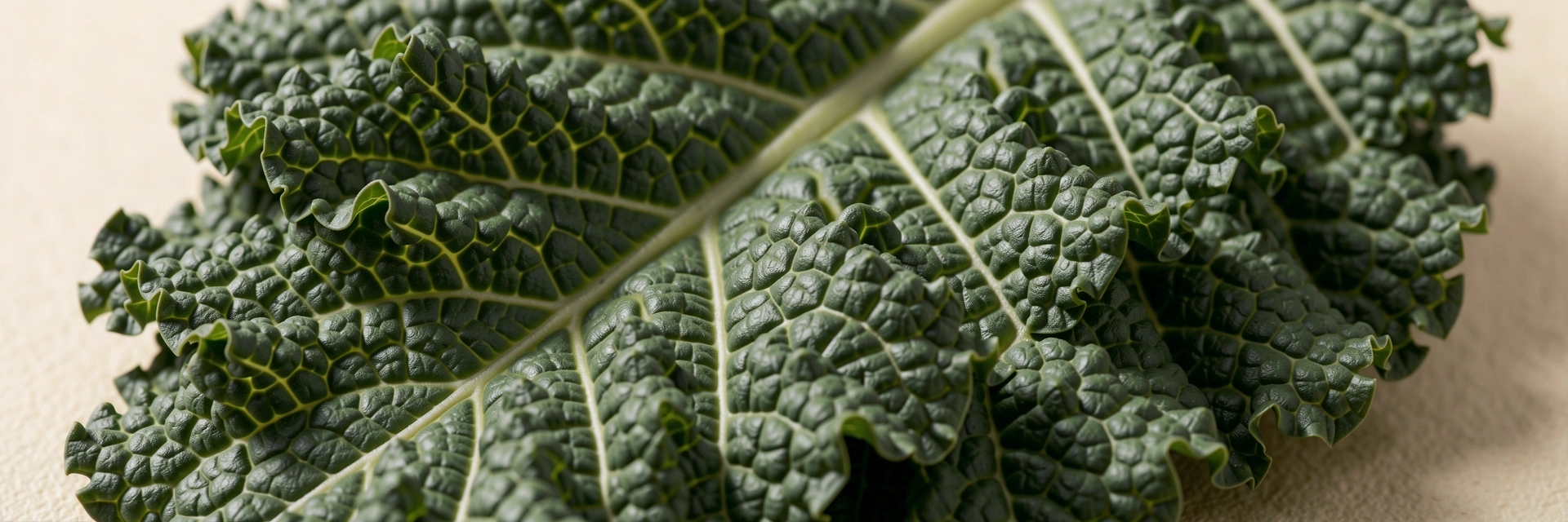 Botanische Textur
